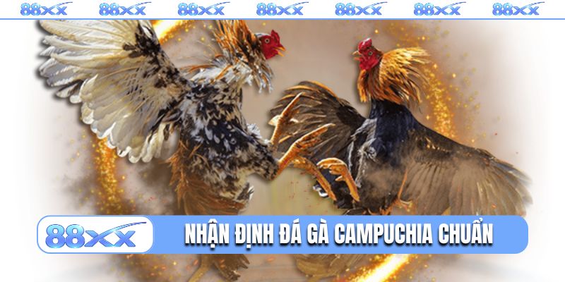 3 cách nhận định đá gà Campuchia chuẩn