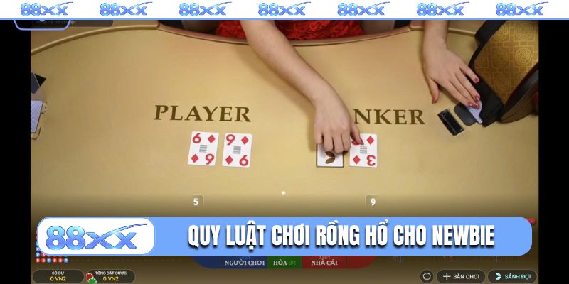 Quy luật chơi Rồng Hổ cho newbie